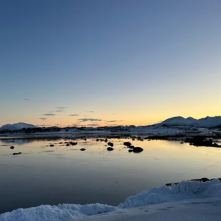 Sto, Aurora, Fjords, Hiking And Whale Safari *