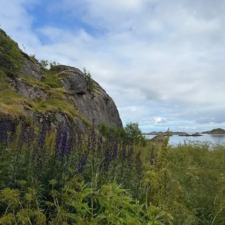 Sto, Aurora, Fjords, Hiking And Whale Safari Sto