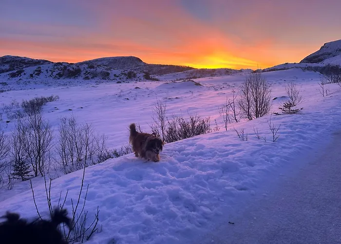 In Vesteralen Villa Sto